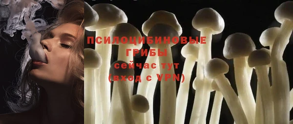 дурь Нягань